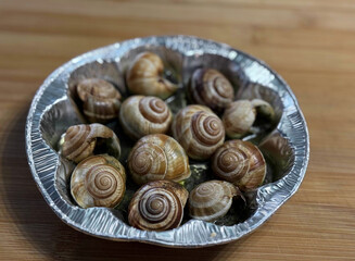 Bourgogne Escargot Snails with garlic herbs butter on a white plate, selective focus