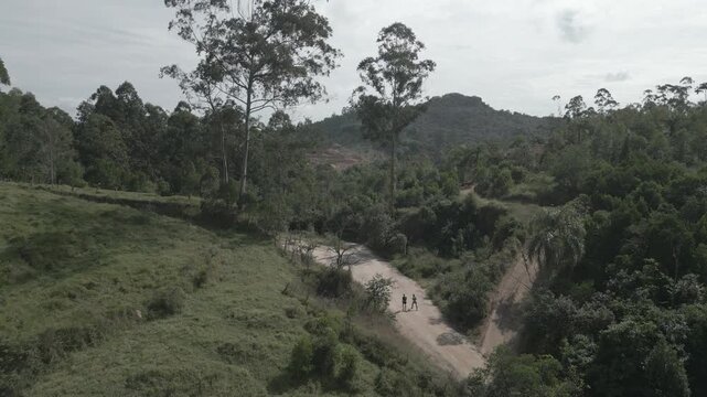 Parque Natural Trilha na Floresta Estrada de Terra Corrida de Trilha Ciclismo de Montanha Cidade do Interior Paisagem Rural Caminho na Natureza Estrada de Cascalho Esporte ao Ar Livre Vegeta&ccedil;&atilde;o Nativa