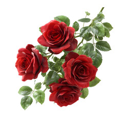 Bouquet of deep red roses with green leaves isolated on transparent background
