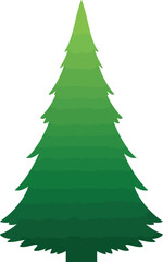 Obraz premium Evergreen pine tree with layered branches and gradient green hues conifer forest