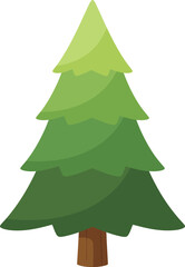 Fototapeta premium Evergreen coniferous tree with layered branches and brown trunk forest nature