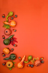 Decorative pumpkins and acorns on an orange background.