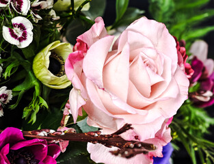 Light rose-colored flower surrounded by blossoms and green leaves – a vibrant floral bouquet.
