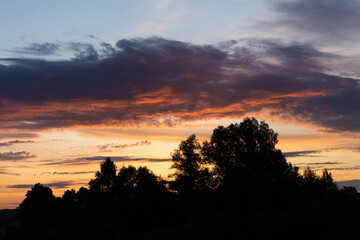 silhouettes of dark trees and grass against the background of dawn