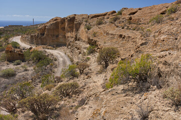 Canyon trail in Los Derriscaderos