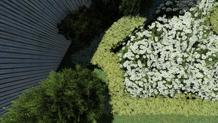 Panoramic video of landscape design of a city garden. Panoramic view from a vantage point of the park landscape.	
