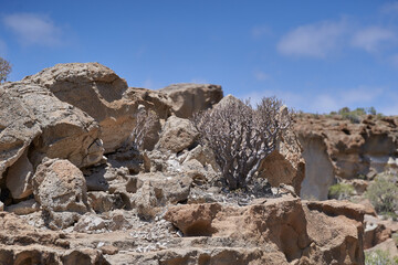 Los Derriscaderos rugged ravine landscape
