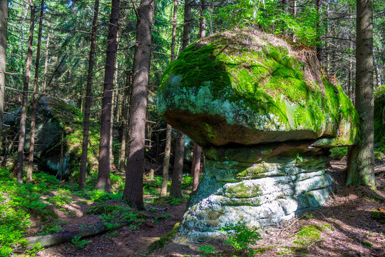 Adrspach Teplice Skaly Rocks natural rock formation towers in Czech Republic. Beautiful towering sandstone rock formations among the forest. Adrspach and Teplice rocks natural park landscape scenic