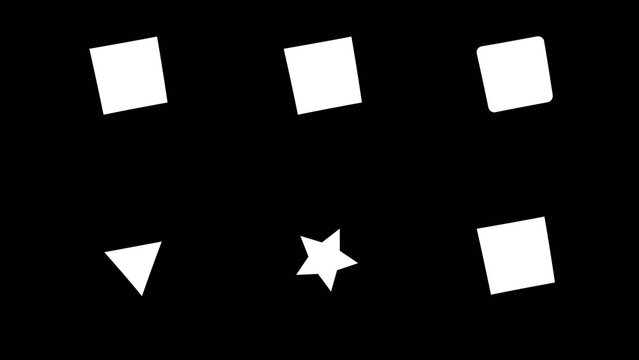 Dynamic Bouncing Elastic Element with Media