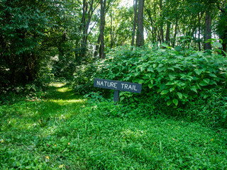 nature trail