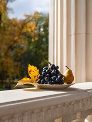 Autumn Still Life with Grapes, Pear, and Maple Leaf on Balcony