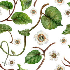 Watercolor seamless pattern with winding kiwi branches with green leaves and flowers on a white background for design of juices, cocktails, jams, preserves, drinks, food, children's, kitchen textiles