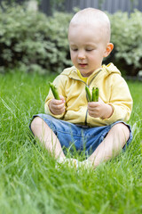 Little kid sitting on green grass in a garden and holding pods of green peas