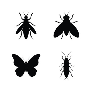 Insect silhouette set with caddisfly butterfly botfly and borer vector illustration.