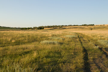 A grassy field with a few people walking on it