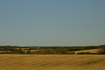 A field with a field of crops
