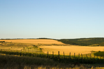 Fototapeta premium A field with a fence and a rainbow in the sky