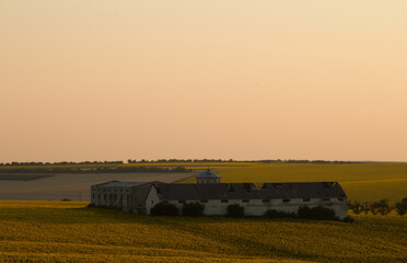 A house in a field