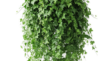 Naklejka premium Cascading green leaves against a dark background