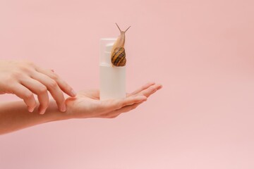 Elegant hand with cosmetic white bottle with snail. Mockup for your brand. Skin care product, spa,...