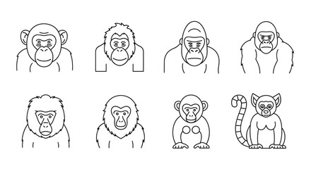 Collection of eight primate outlines including gorillas chimpanzees and a lemur in a row format