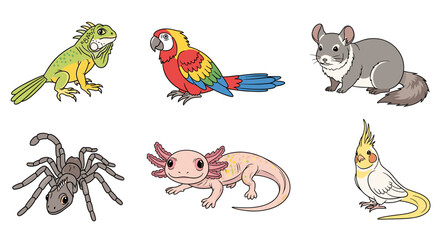 Collection of diverse animals including an iguana parrot chinchilla spider axolotl and cockatiel drawn