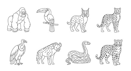 Outlined illustration showcasing a variety of zoo animals in a linear arrangement of different species