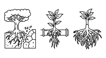 Three line art illustrations depicting various plant root systems and growth environments shown clearly