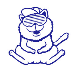 Cat Teenager Party Cap Sunglasses Slits Glasses Cool