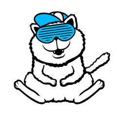 Cat Teenager Party Cap Sunglasses Slits Glasses Cool