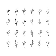 Obraz premium Botanical Branches. Botanical Branches illustration features multiple elegant hand-drawn branches in a minimal and delicate line art style.