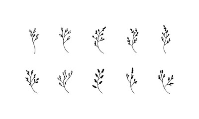 Graceful Leafy Branches. Graceful Leafy Branches depicts thin botanical branches with small hand-drawn leaves in an airy minimal style.