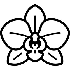 Obraz premium Orchid flower outline icon vector
