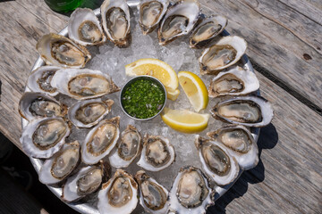 Dozens of fresh raw oysters arranged in a circular pattern on ice with lemon wedges and green mignonette sauce