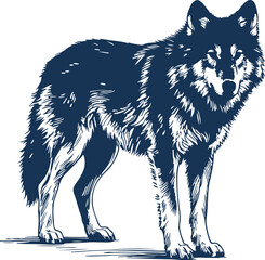 Fototapeta premium Majestic Wolf Standing