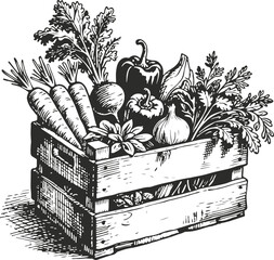 Crate of Fresh Vegetables 