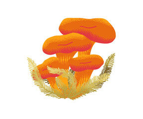 Bright orange wild mushrooms growing on forest grass in a digital hand-painted style. Great for nature or forest-themed designs.