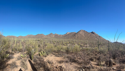 Expansive desert landscape in Saguaro National Park, Arizona