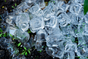 Ice cubes from a restaurant were shaken in a flowerpot to water and cool the soil and melting
