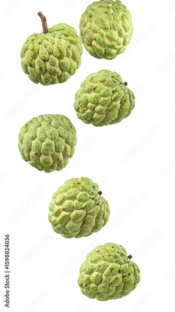 Poster six cherimoya fruits falling against a transparent background, creating a dynamic and appetizing vis