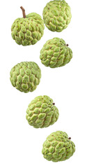 Obraz premium Six cherimoya fruits falling against a transparent background, creating a dynamic and appetizing visual