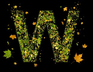 Letter W formed from autumn leaves