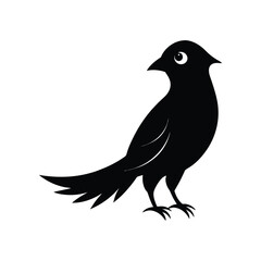 Fototapeta premium a cuckoo bird full black silhouette vector illustration on white background