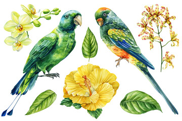 Tropical parrots with hibiscus orchids and green leaves watercolor exotic bird floral clipart set on white background
