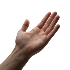 Open hand palm gesture asking offering receiving concept presentation isolated on transparent background