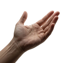 Human hand palm open offering gesture concept for presentation design isolated on transparent background