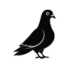a pigeon full black silhouette vector illustration on white background