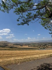 fields landscape
