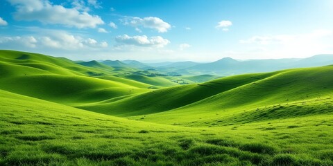 Obraz premium Hawksbill Sea Turtle in Vibrant Coral Reef Underwater