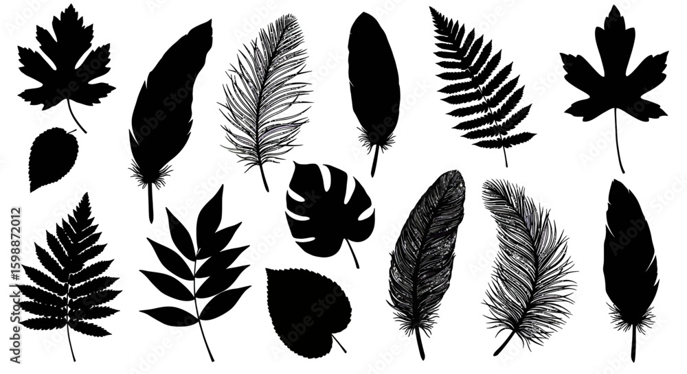 Poster collection of stylized botanical and avian elements beautifully rendered in silhouette forms for art